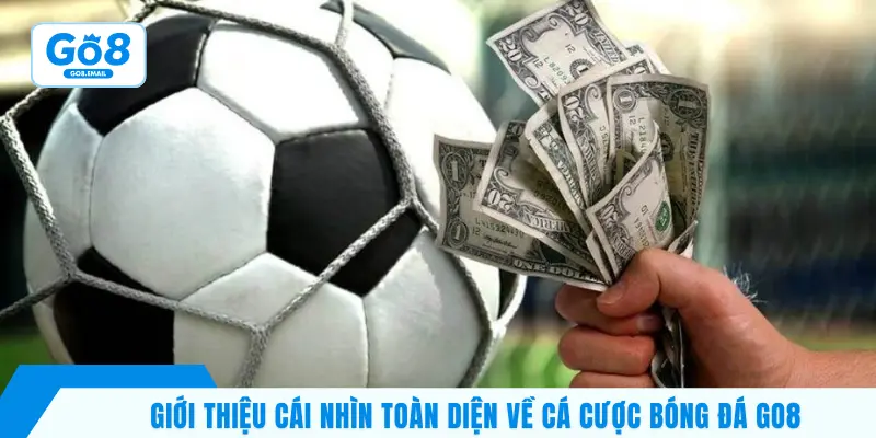 Giới thiệu cái nhìn toàn diện về cá cược bóng đá GO8